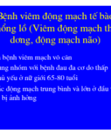 Viem dong mach te bao khong lo.pdf