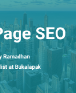 17. Off-Page & SEO Analytics