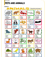 LESSON 25 - PETS AND ANIMALS.pdf