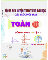 BO DE REN LUYEN TOAN 11-NEW 2025-TAP 1-ZALO DUONG HUNG 0774860155.pdf