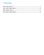 01. HS - MÔ TẢ SÓNG.pdf