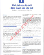 1 . hình ảnh các bệnh lí động mạch chủ cấp tính.pdf