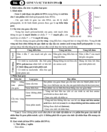 Bài 1. Gene và quá trình tái bản DNA (Lý thuyết).pdf