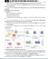 Bài 0 (Lí thuyết).pdf