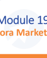 M19-Quora Marketing.pdf