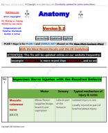 1 Anatomy LMV 5.2.pdf