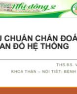 02 THS.BS VÕ THỊ TƯỜNG VY - Tiêu chuẩn chẩn đoán Lupus - BVND2 6_24.pdf