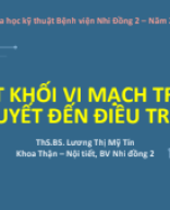 04 THS.BS LƯƠNG THỊ MỸ TÍN - TMA_HNKHBV_2024.pdf