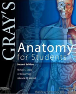 Grays Anatomy for Students 2nd Edition-Compress[1243].pdf