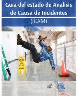 -Manual-ICAM.pdf