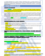 30. La función preventiva.pdf