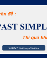 PAST SIMPLE.pptx