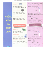 CHỦ ĐỀ 1. NHÔM, KẼM VÀ HỢP CHẤT.doc