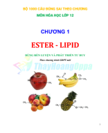 1.1.HS. ESTER - LIPID - 160 CÂU ĐÚNG SAI THEO CHƯƠNG.pdf