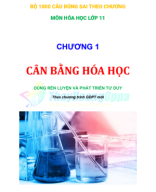 1.GV.BỘ 1000 CÂU ĐÚNG SAI HÓA 11 - CHƯƠNG 1.pdf