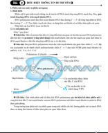 Bài 2.  Biểu hiện thông tin di truyền (LT).pdf