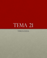 Tema 21 para imprimir.pdf