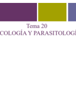 Tema 20.pdf