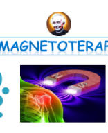 TEMA 27 - MAGNETOTERAPIA.pdf