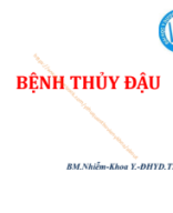 5. Bệnh thủy đậu.pdf