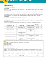 Bài 9. Amino acid - peptide - HS.docx