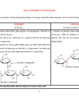 Bài 6 Tinh bột và cellulose.pdf