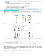 1. CHUYÊN ĐỀ BÀI TẬP THÍ NGHIỆM VÀ CÂU HỎI THỰC TIỄN (HS).docx