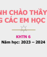 KNTT 25 Hệ thống phân loại sinh vật.pdf