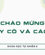 KNTT_ BÀI 19.  CẤU TẠO VÀ CHỨC NĂNG CÁC THÀNH PHẦN CỦA TẾ BÀO (TIẾT 1).pdf