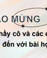 KNTT - BÀI 36. ĐỘNG VẬT (TIẾT 4).pdf