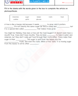 CBSE Class 4 Science worksheets on plants.pdf