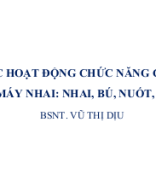 CÁC HOẠT ĐỘNG CHỨC NĂNG CỦA BỘ MÁY NHAI.pptx