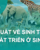 BÀI 29-SINH TRƯỞNG VÀ PHÁT TRIỂN.pdf