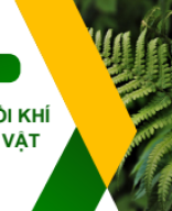 KNTT_ BÀI 28_TRAO ĐỔI KHÍ Ở SINH VẬT (tiết 3 - Ở động vật).pdf