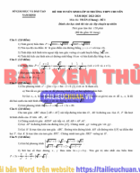 29. ( CHUYÊN ) BAN TỰ NHIÊN - NAM ĐỊNH.Image.Marked.pdf