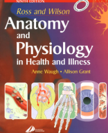 Human Anatomy and Physiology Book.pdf