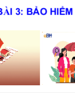 KNTT_k12_Bài 3_Bảo Hiểm.ppt