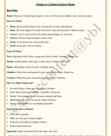 Class 3 EvS (The World Around Us) Chapter 4- Greeting to Know Plants Book Solution and Notes.pdf