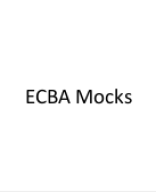 ECBA Mocks 100 Questions.pptx