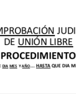 UNION LIBRE.pptx