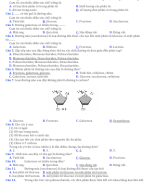 CÂU HỎI TRẮC NGHIỆM PHÂN TỬ SINH HỌC ĐỀ.docx