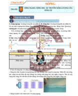 Chuyên đề 2 - Chủ đề 2 Sóng ngang. Sóng dọc. Sự truyền năng lượng của sóng cơ - HS.pdf