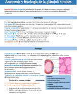 4. Anatomia y Fisiologia de la glandula tiroides.pdf