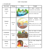 Unit 7 - chuyen sau Anh 8 (GV).pdf