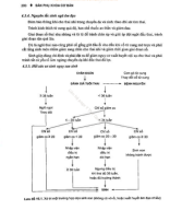 01. (P2) (YDK - DD - HS) Sản phụ khoa cơ bản.pdf