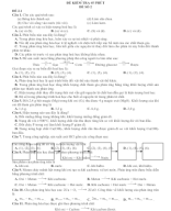 Đề kiểm tra 45 phút - Đề 2.1.doc