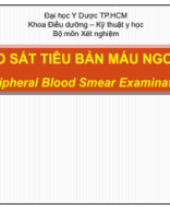 Khảo sát tiêu bản máu.pdf