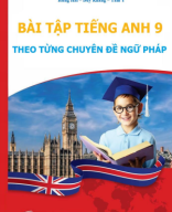 BT THEO CHUYÊN ĐỀ NGỮ PHÁP GS9.pdf