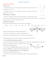 Vật Lý 12 - CHỦ ĐỀ 10 SÓNG DỪNG.docx