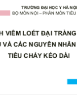 Viêm loét đại tràng đặc hiệu và các nguyên nhân của tiêu chảy kéo dài.pptx